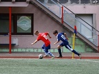 IMG 8801
